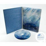 Диджипак DVD формата для 1 диска