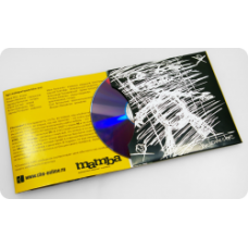 Диджислив CD формата