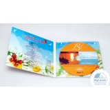 Digipak с прозрачным треем