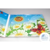 Digipak с прозрачным треем