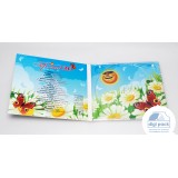 Digipak с прозрачным треем
