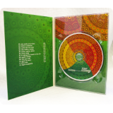 Диджипак DVD 4 полосы с треем