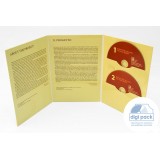 Дигифайл DVD формата, 6 полос для 2-х дисков