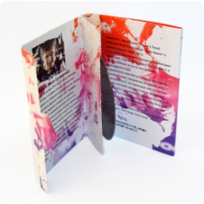 Индивидуальная упаковка DVD формата для 1 диска Индивидуальная упаковка DVD формата для 1 диска