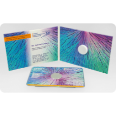 Диджипак для 1 CD визитки, 4 полосы
