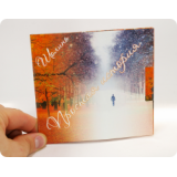 Диджифайл CD формата для 1 диска, 4 полосы