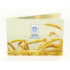 Диджипак для CD визитки
