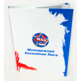 Папка на скоросшивателе + 2 DVD диска