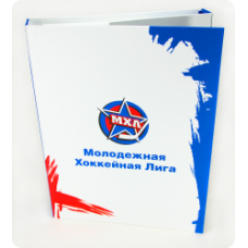Папка на скоросшивателе + 2 DVD диска