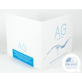 Диджифайл CD формата 4 полосы, на 1 диск Диджифайл CD формата 4 полосы, на 1 диск